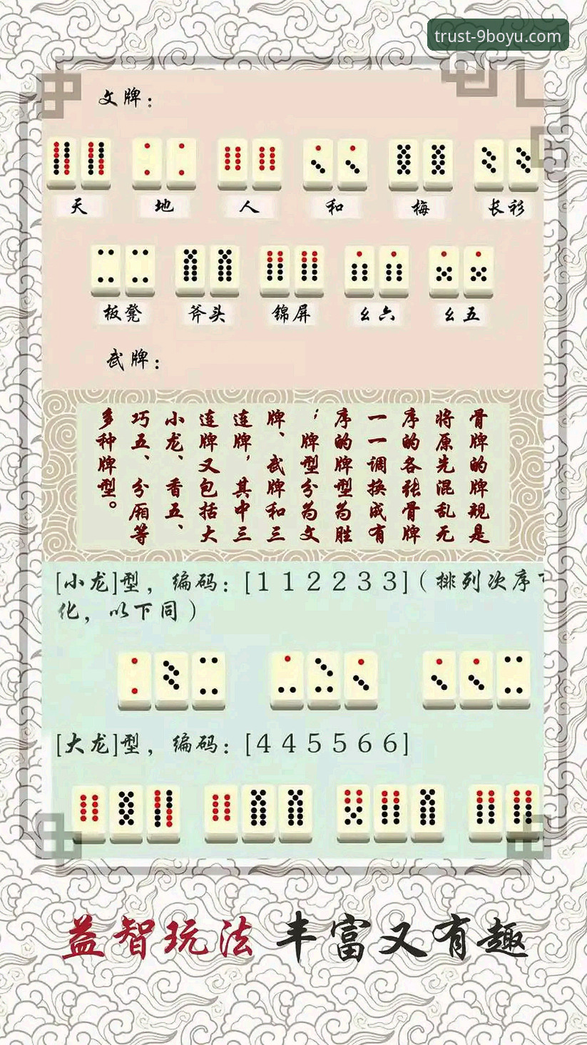 9博娱乐平台使用技巧全面解析：从入门到精通的实用指南